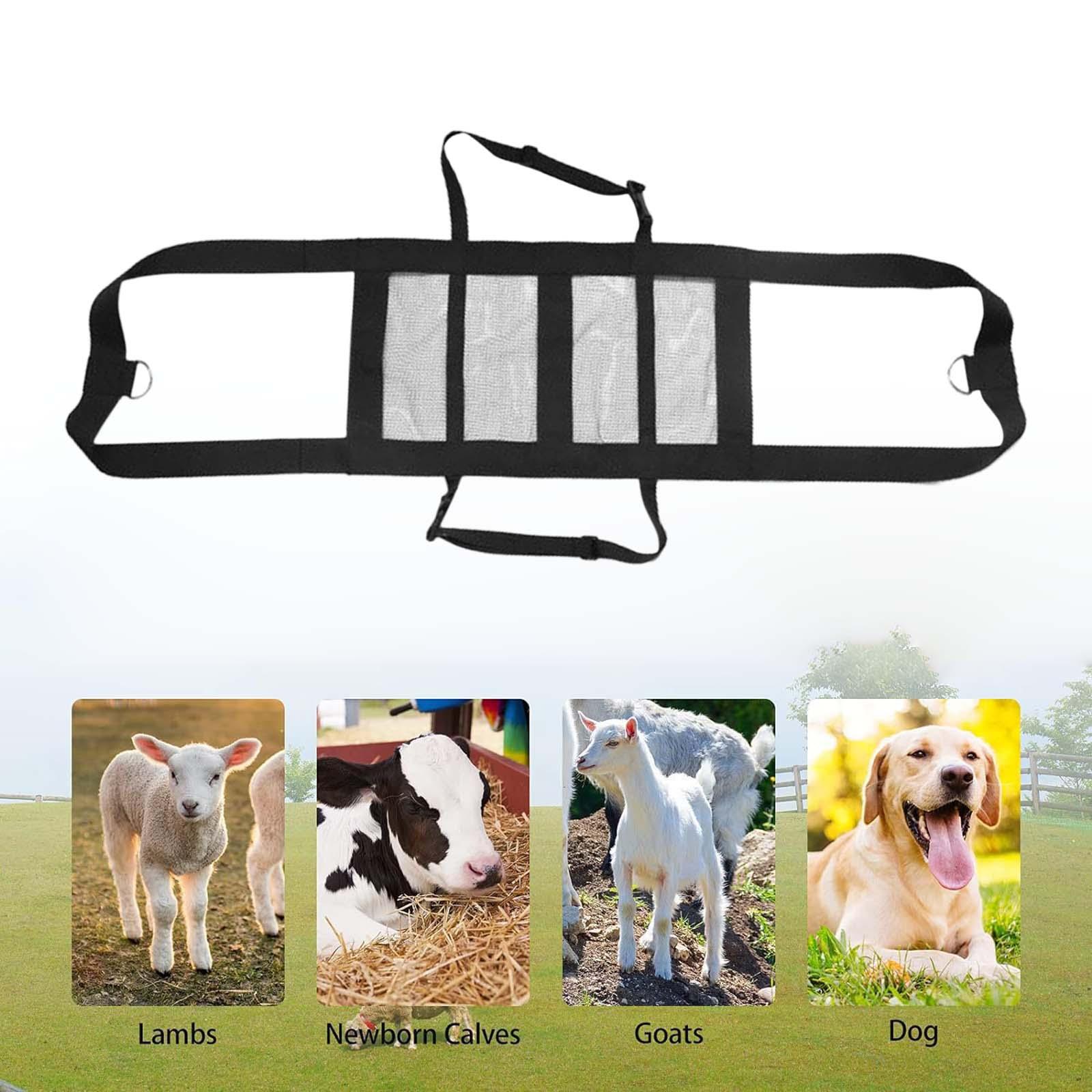 Calf Sling Hanging Weight Scal - Mesh Strap Metal ulasan dan harga