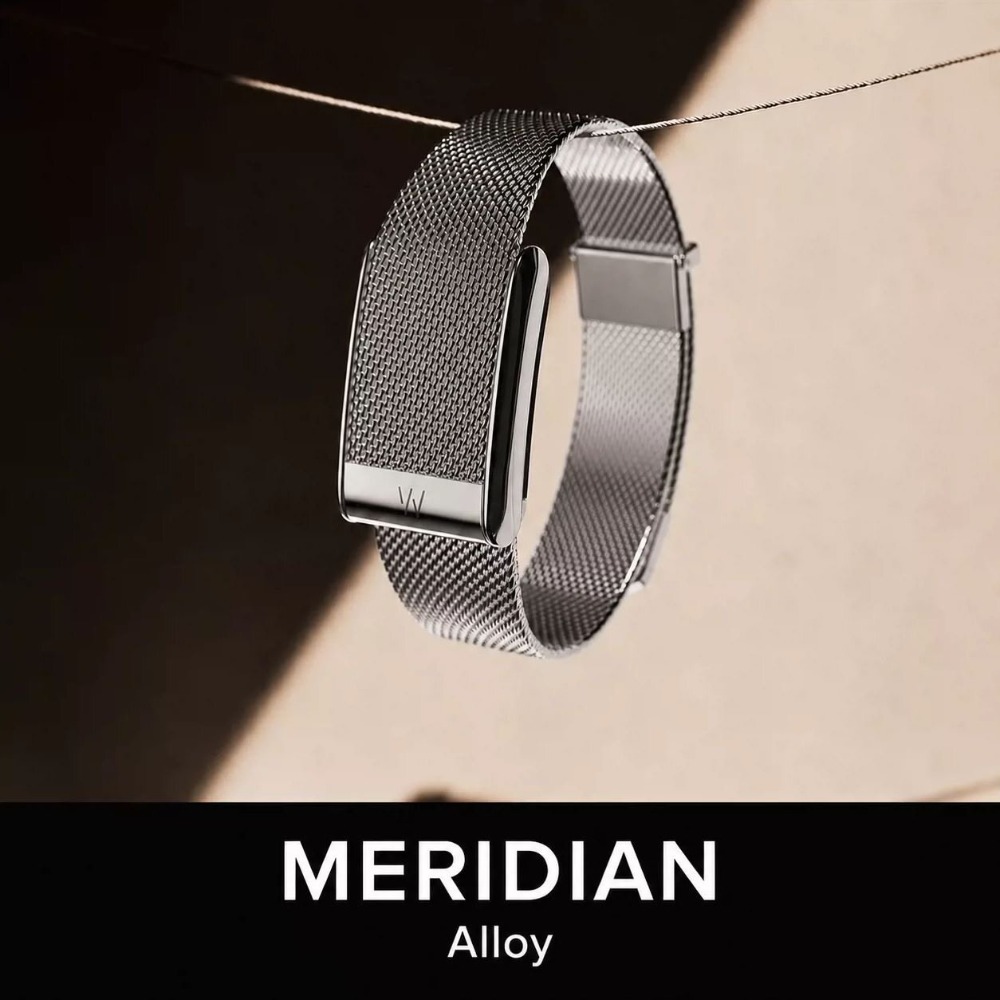 For WHOOP 5.0 MG Milanese Stai - Mesh Strap Metal ulasan dan harga